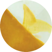 โหลดรูปภาพลงในเครื่องมือใช้ดูของ Gallery CST-CC033H-60ml Chrysanthos Cafe Color H "Yellow Terra"