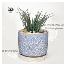 โหลดรูปภาพลงในเครื่องมือใช้ดูของ Gallery AMACO Crawls CR-12 Speckled White