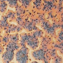 โหลดรูปภาพลงในเครื่องมือใช้ดูของ Gallery AMACO Crawls CR-18 Speckled Flux Crawl