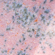 โหลดรูปภาพลงในเครื่องมือใช้ดูของ Gallery AMACO Crawls CR-18 Speckled Flux Crawl