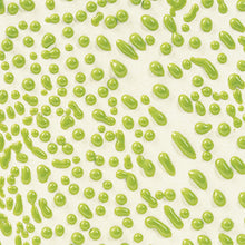 โหลดรูปภาพลงในเครื่องมือใช้ดูของ Gallery AMACO Crawls CR-41 Lime