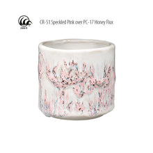 โหลดรูปภาพลงในเครื่องมือใช้ดูของ Gallery AMACO Crawls CR-51 Speckled Pink