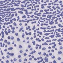 โหลดรูปภาพลงในเครื่องมือใช้ดูของ Gallery AMACO Crawls CR-54 Purple