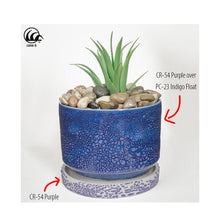 โหลดรูปภาพลงในเครื่องมือใช้ดูของ Gallery AMACO Crawls CR-54 Purple