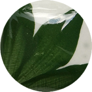 CST-OS125-30 Chrysanthos One Stroke "Leaf Green"