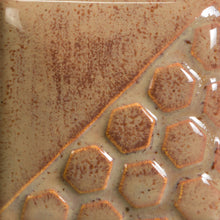 โหลดรูปภาพลงในเครื่องมือใช้ดูของ Gallery น้ำเคลือบ Mayco "Elements" EL145 Ginger Root