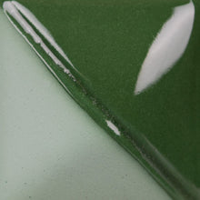 โหลดรูปภาพลงในเครื่องมือใช้ดูของ Gallery น้ำเคลือบ Mayco "Fundamentals Underglazes" UG210 Forest Green