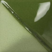 โหลดรูปภาพลงในเครื่องมือใช้ดูของ Gallery น้ำเคลือบ Mayco "Fundamentals Underglazes" UG021 Leaf Green