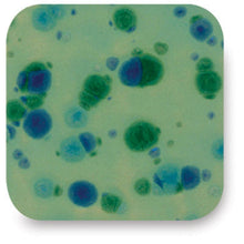 Load image into Gallery viewer, น้ำเคลือบ Crystaltex Amaco สี CTL-49 Azurite