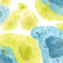 Load image into Gallery viewer, น้ำเคลือบ Crystaltex Amaco สี CTL-10 Peppermint lce