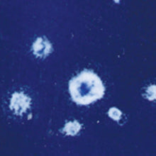 Load image into Gallery viewer, น้ำเคลือบ Crystaltex Amaco สี CTL-22 Milky Way