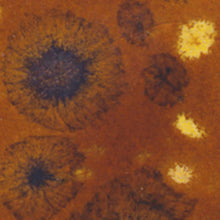 Load image into Gallery viewer, น้ำเคลือบ Crystaltex Amaco สี CTL-36 Ginger Bread