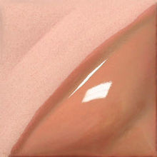 โหลดรูปภาพลงในเครื่องมือใช้ดูของ Gallery สีใต้เคลือบ Amaco Velvet สี V-323 Salmon