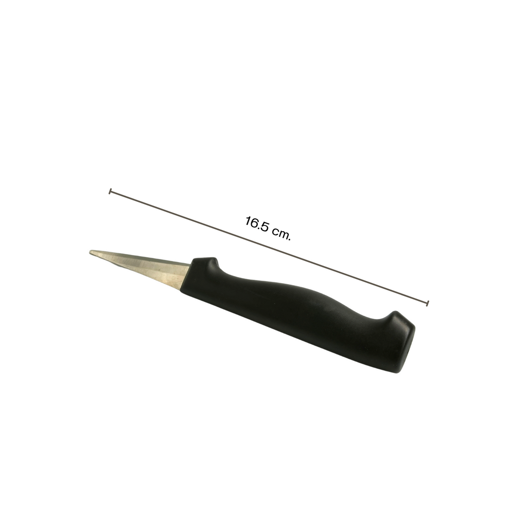 C-50#81 Carving knife