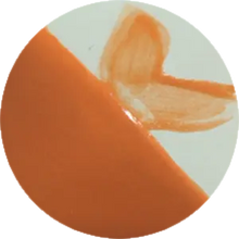 โหลดรูปภาพลงในเครื่องมือใช้ดูของ Gallery CST-CC027H-60ml Chrysanthos Cafe Color H "Orange Sunrise"
