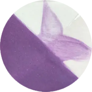 CST-CC043H-60ml Chrysanthos Cafe Color H "Eye In One"