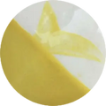 CST-CC049H-60ml Chrysanthos Cafe Color H "Mellow Yellow"