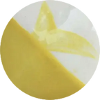 CST-CC049H-60ml Chrysanthos Cafe Color H "Mellow Yellow"