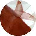 CST-CC081H-60ml Chrysanthos Cafe Color H "Red Gum"