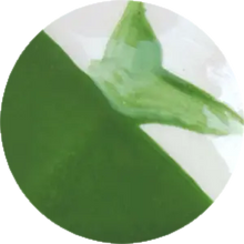 โหลดรูปภาพลงในเครื่องมือใช้ดูของ Gallery CST-CC144H-60ml Chrysanthos Cafe Color H "Green Dream"

