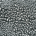 AMACO Crawls CR-12 Speckled White