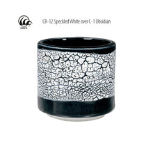Load image into Gallery viewer, AMACO Crawls CR-12 Speckled White
