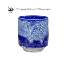 Load image into Gallery viewer, AMACO Crawls CR-12 Speckled White
