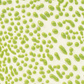 AMACO Crawls CR-41 Lime