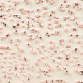 AMACO Crawls CR-51 Speckled Pink