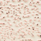 AMACO Crawls CR-51 Speckled Pink