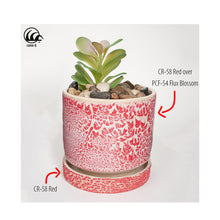 Load image into Gallery viewer, AMACO Crawls CR-58 Red
