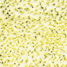 Load image into Gallery viewer, AMACO Crawls CR-61 Speckled Yellow
