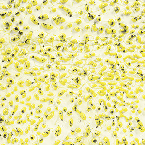 AMACO Crawls CR-61 Speckled Yellow