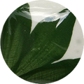 CST-OS125-30ml Chrysanthos One Stroke "Leaf Green"