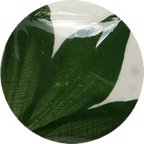 CST-OS125-30ml Chrysanthos One Stroke "Leaf Green"