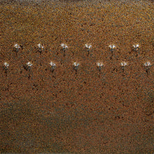 Load image into Gallery viewer, น้ำเคลือบ Potter's choice Amaco สี PC-69 Cosmic Gold Dust
