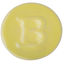 Load image into Gallery viewer, High-fire coating BOTZ &quot;PRO&quot; 9303 Citrine Yellow
