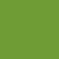 PGST-2439-100 Green Stain Color