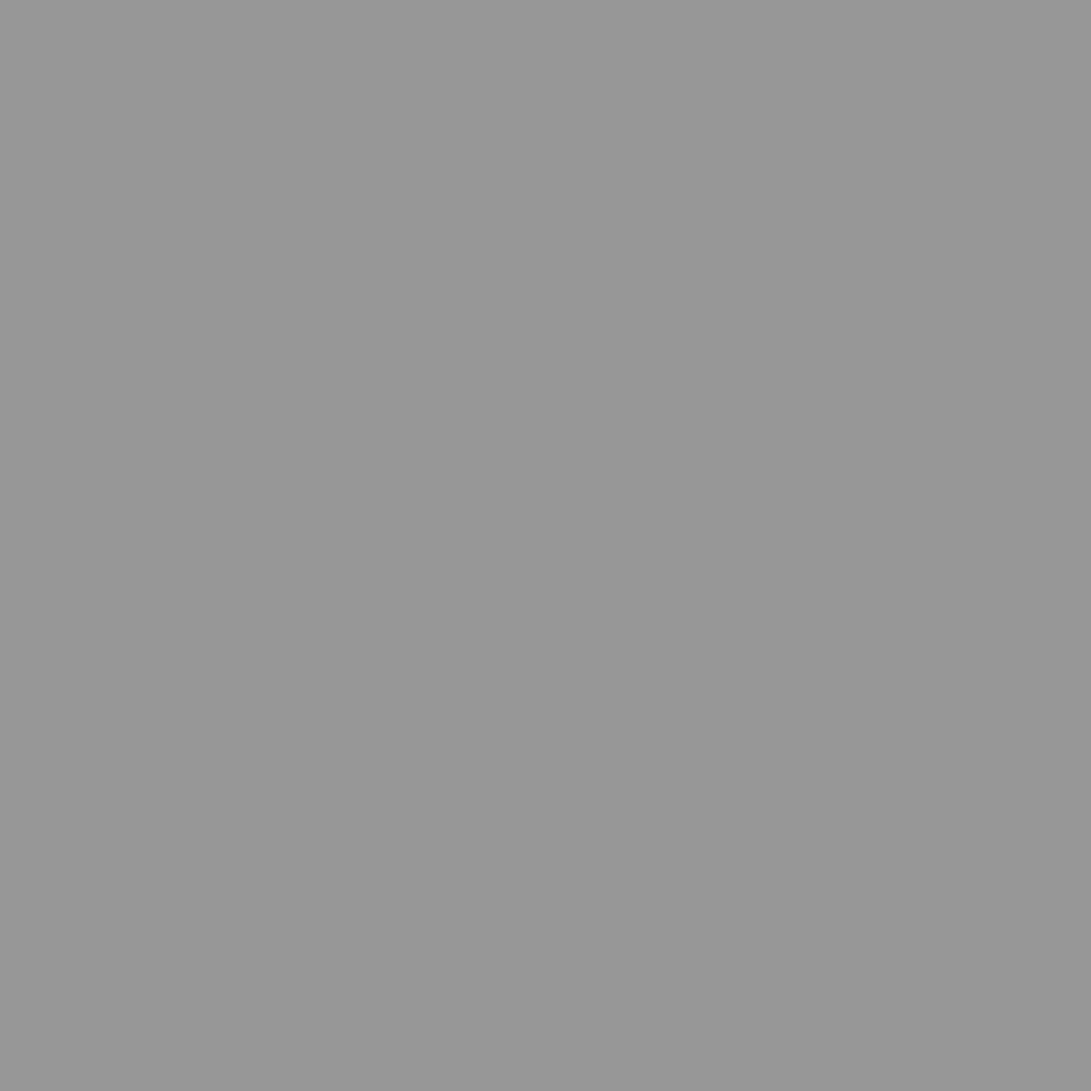 PGST-2828-100 สีสเตนสีเทา