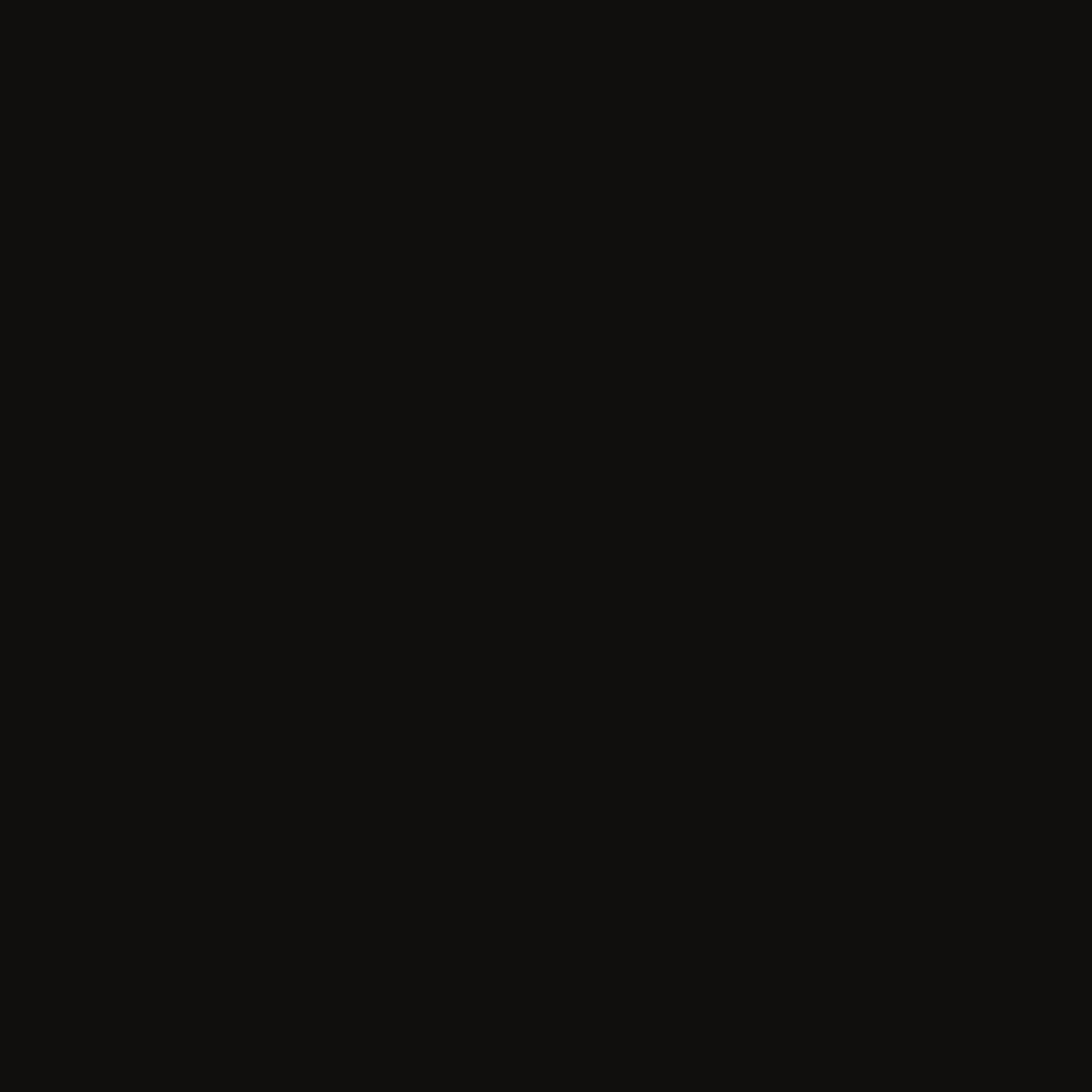 PGST-2959-100 สีสเตนสีดำ