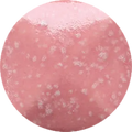 CST-SC015H-250ml Chrysanthos Speckled Cafe Color H "2 Pinky"