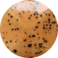 CST-SC077H-250ml Chrysanthos Speckled Cafe Color H "Mocha"