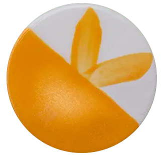 CST-CC035H-60ml Chrysanthos Cafe Color H "Citrus Zest"