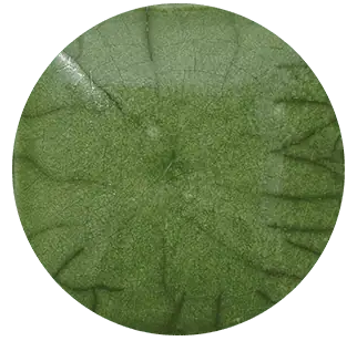 CST-RG063-500 Chrysanthos Raku Glaze "Phoebe"