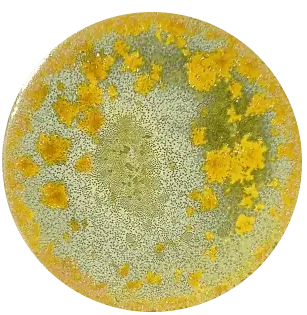 CST-SN105-140ml Chrysanthos Supernova Glaze "Zhang"