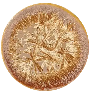 CST-SN111-140ml Chrysanthos Supernova Glaze "Proxima Centauri"