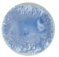 CST-SN111-140ml Chrysanthos Supernova Glaze "Proxima Centauri"