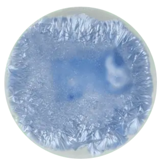 CST-SN111-140ml Chrysanthos Supernova Glaze "Proxima Centauri"