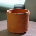 ดินเทอราพ็อต (Terrapot)