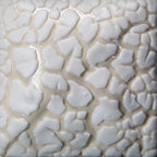 Mayco "Stoneware Specialty" Glaze SW403 White Mudcrack